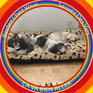 Meet your Posher, Francine